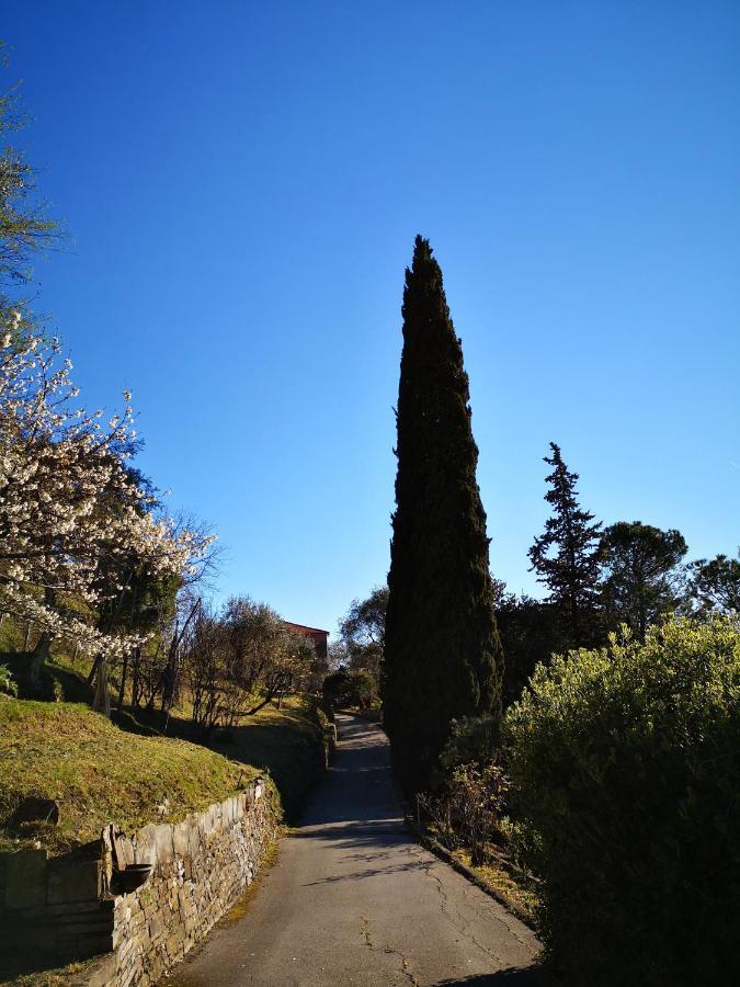 LeiviLa Vivagna - Casa Vista Mare Tra Gli Ulivi别墅 外观 照片